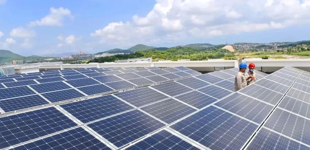 1773654442932923.jpg 1.jpg