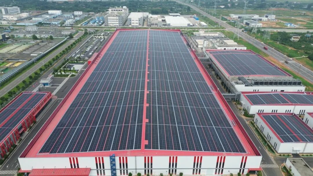 1776245865554709.jpg 1.jpg