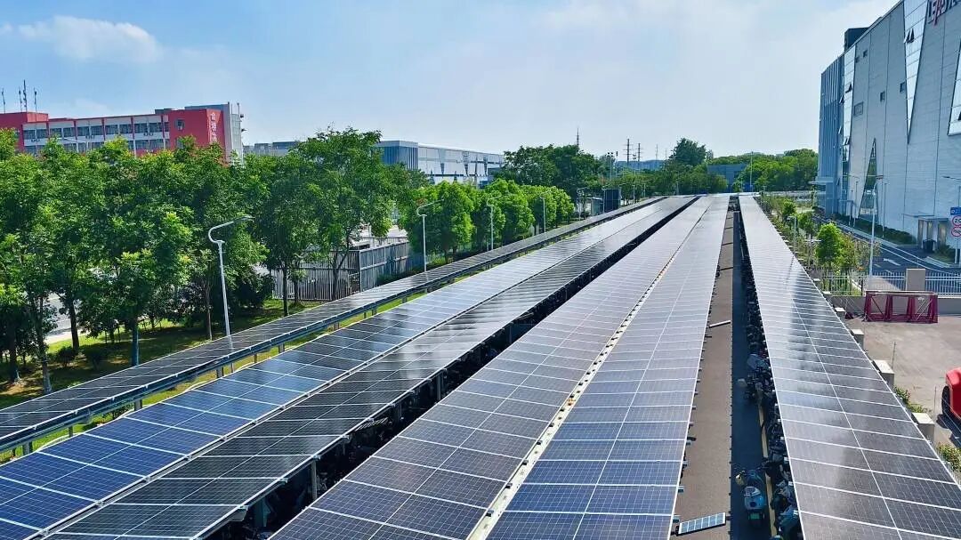 1776245875186696.jpg 3.jpg