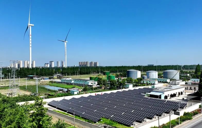 1776245890607230.jpg 6.jpg