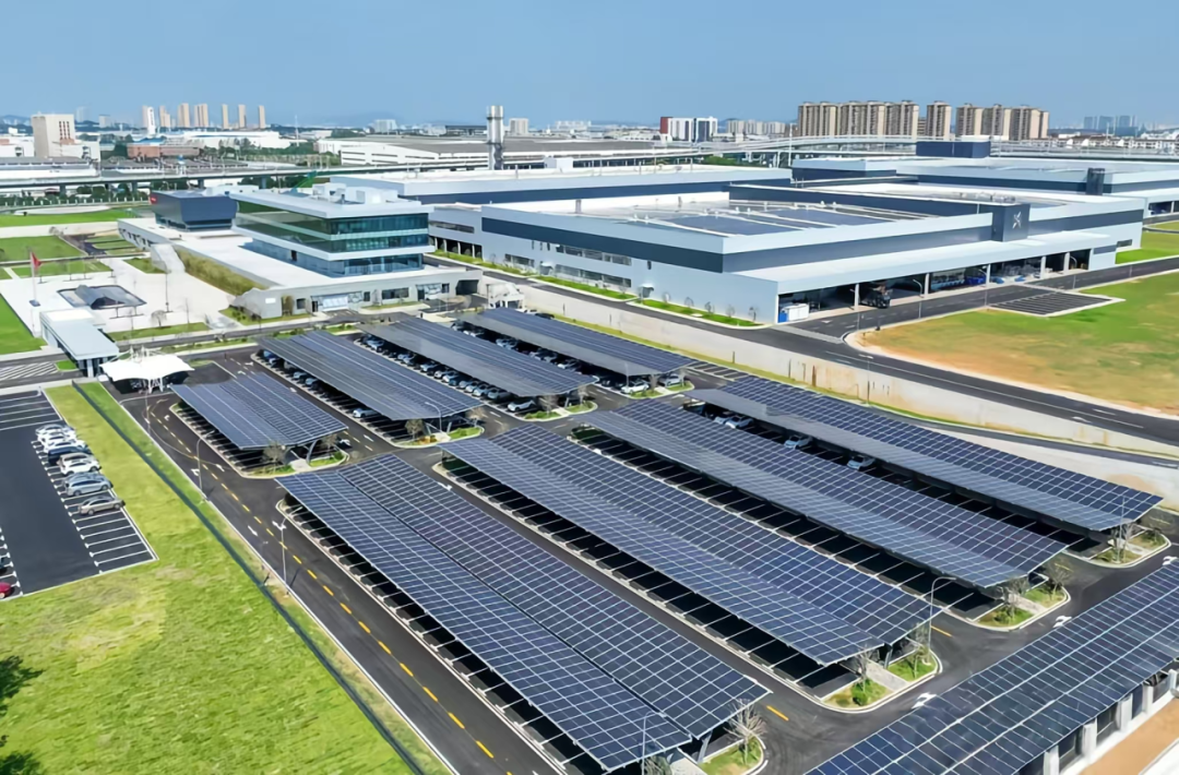 1776245895442544.png 7.png